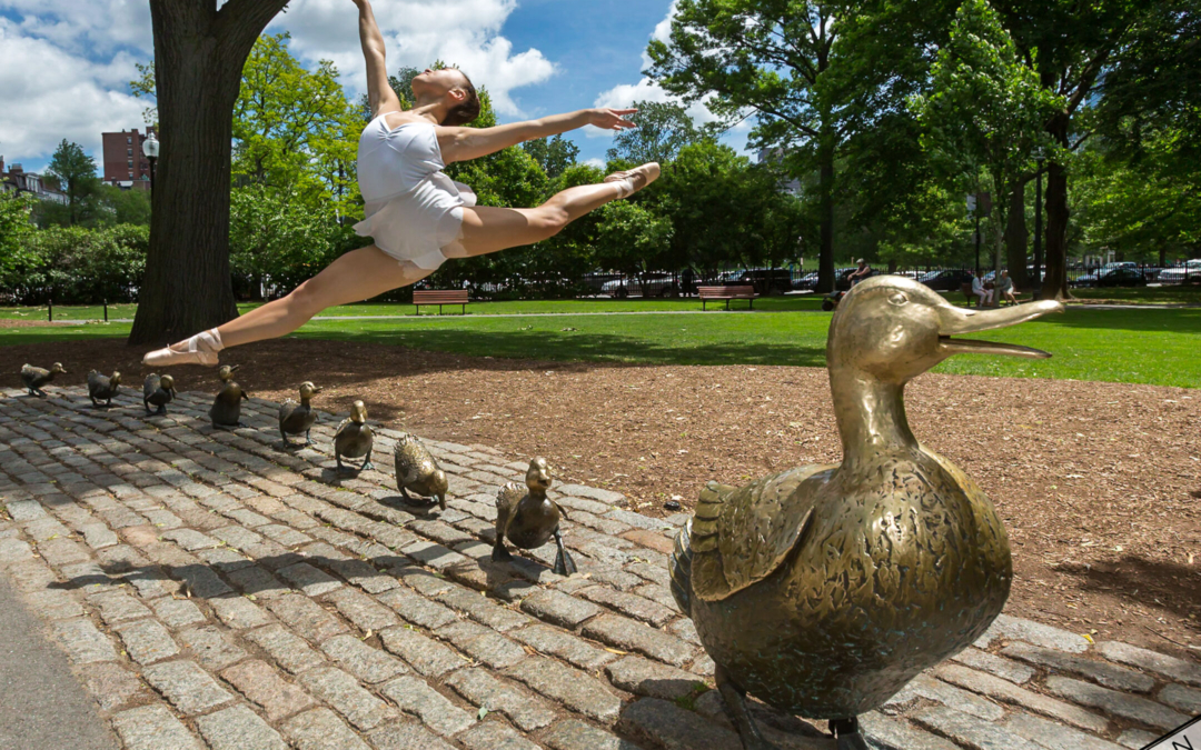 Boston Public Garden – Joy Zhong