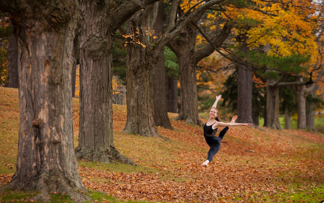 Institute Park – Jade Young