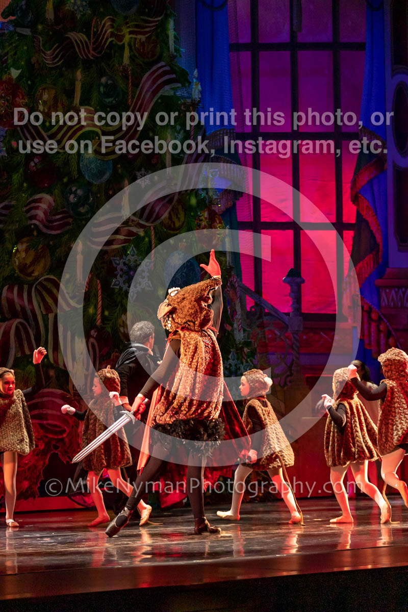 23144446-5D4-219431