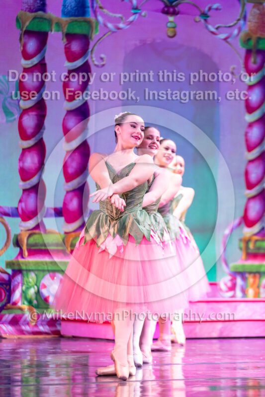 23154126-5D4-219960-2