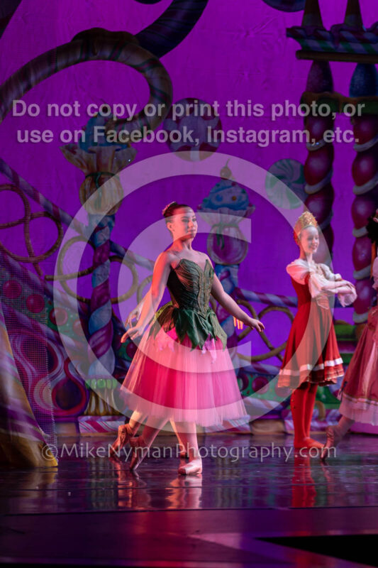 23155953-5D4-220176