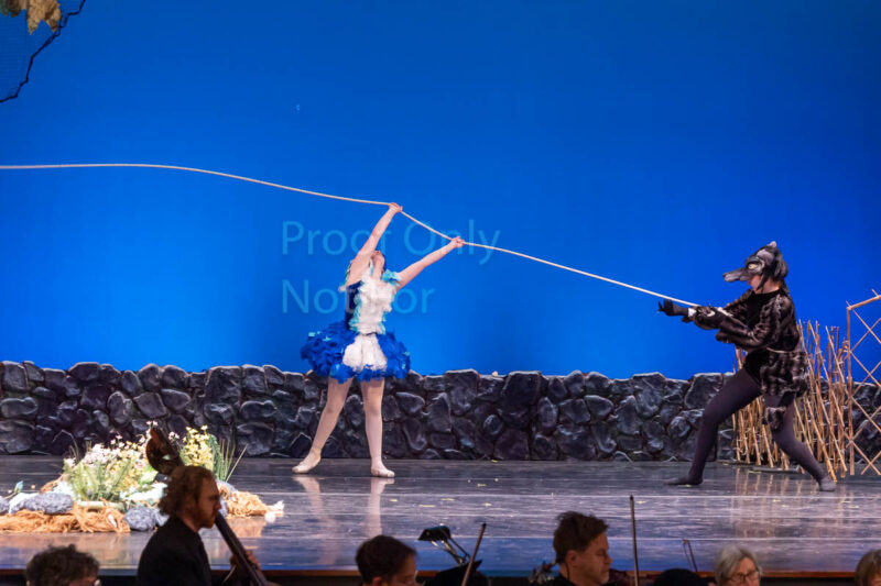 2305130210-R3-149626