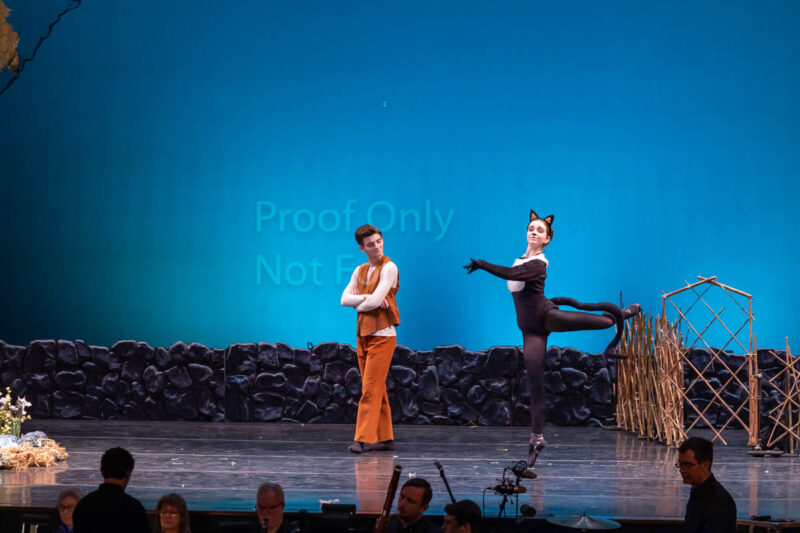 2306112326-R3-151014