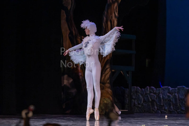 2305105949-R3-148682