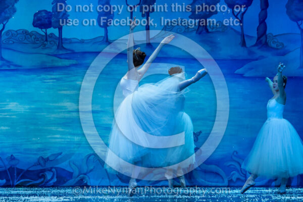 22150841-R3-262097