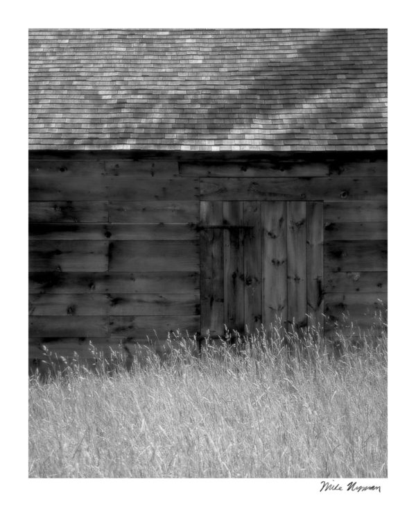 tall grass and barn