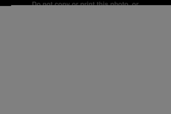 151254-R3-502791
