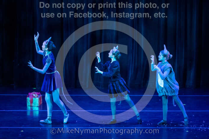 20251129130909-R3-590810