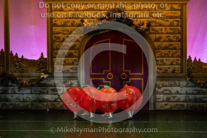 20251129142519-R3-592567