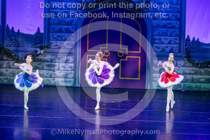 20251129202503-R62-131463