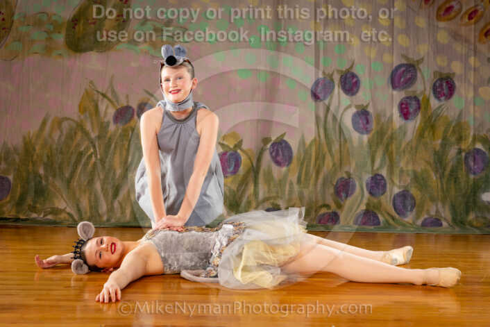 20260110100110-R3-613829