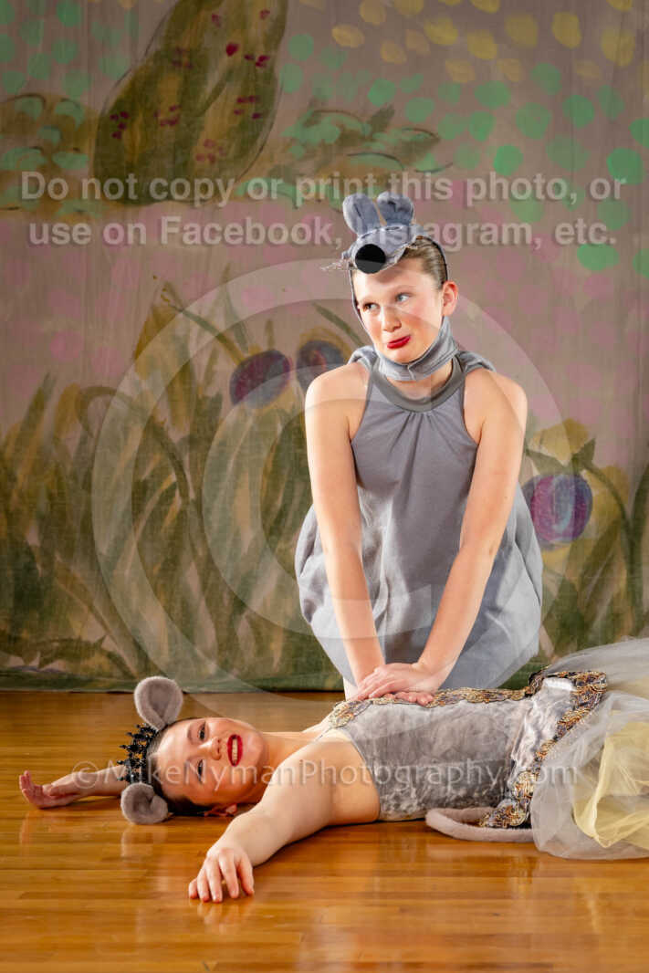 20260110100117-R3-613831