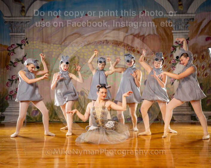 20260110104419-R3-614035