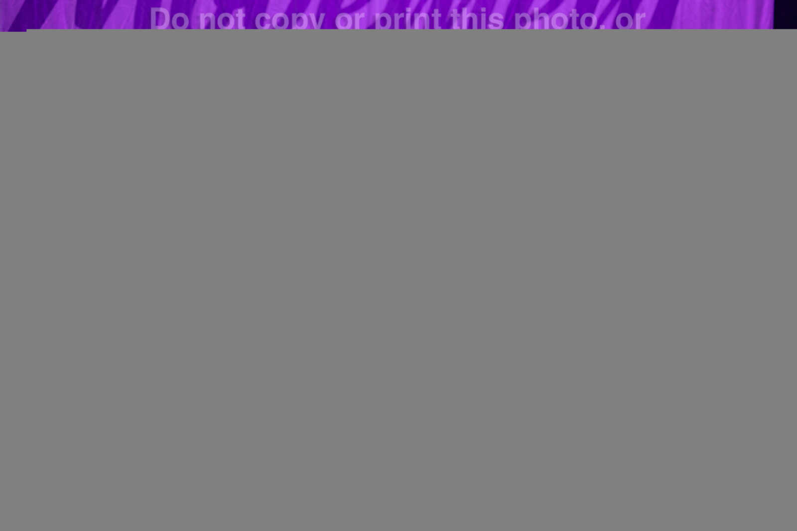 20260118131625-R3-629111