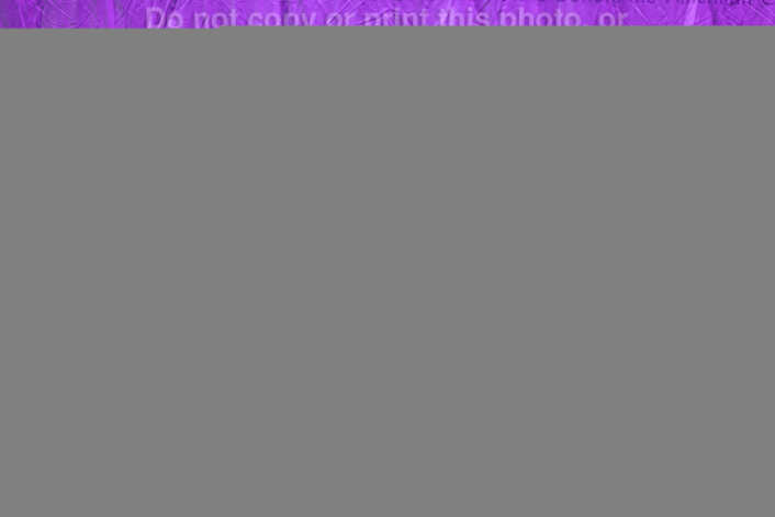 20260118141218-R3-630389