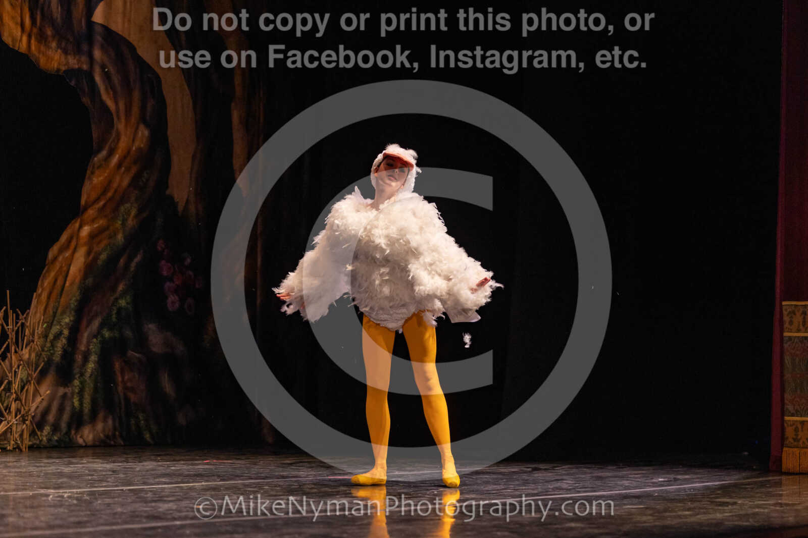 20260304151233-R3-639119