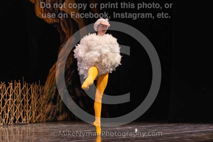 20260304151235-R3-639121