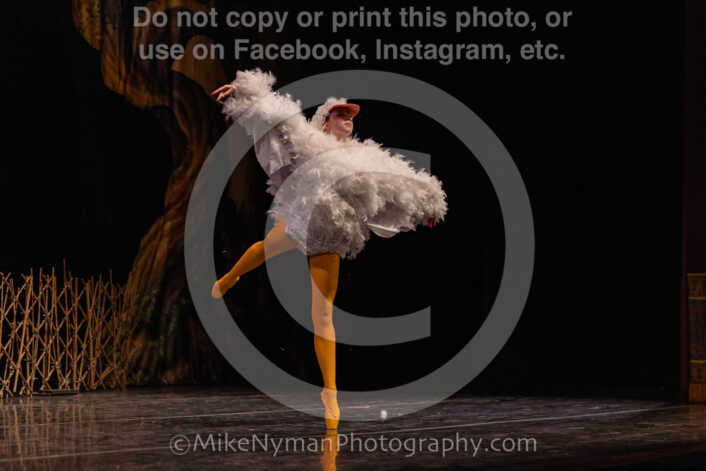 20260304151238-R3-639123