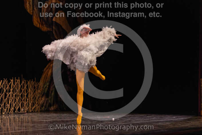 20260304151239-R3-639124