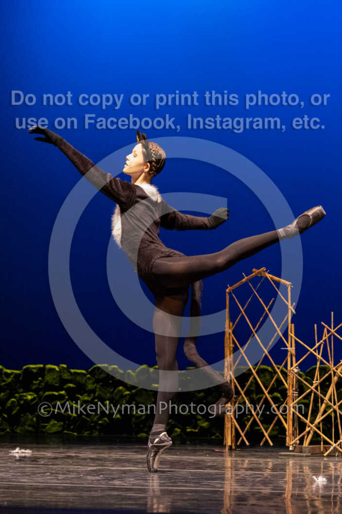 20260304151251-R62-100419