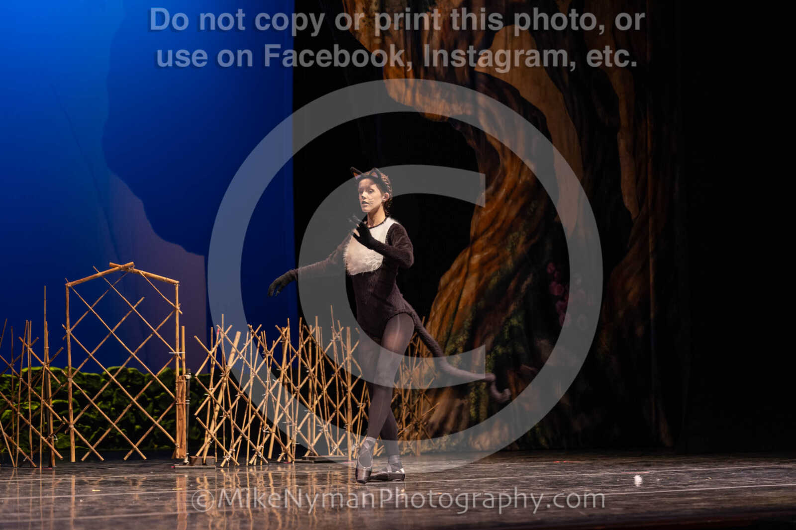 20260304151301-R3-639128