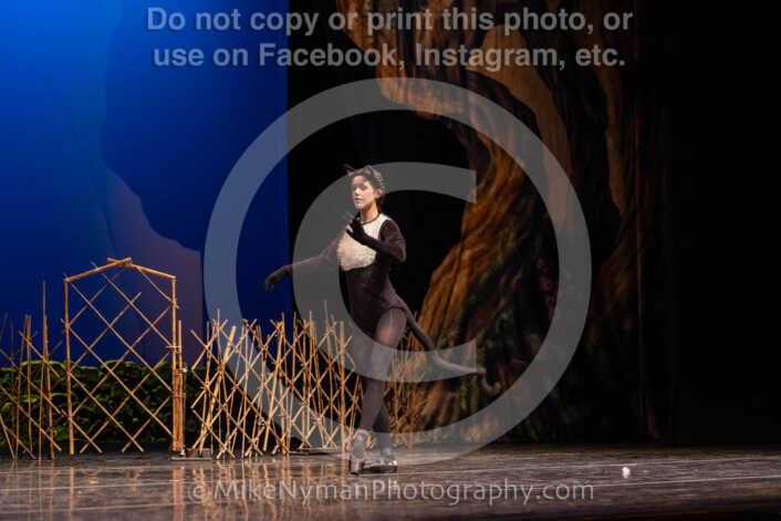 20260304151301-R3-639128