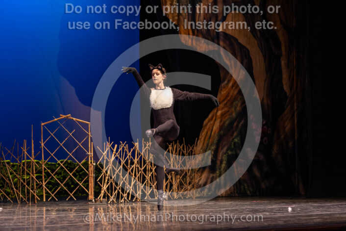 20260304151302-R3-639129