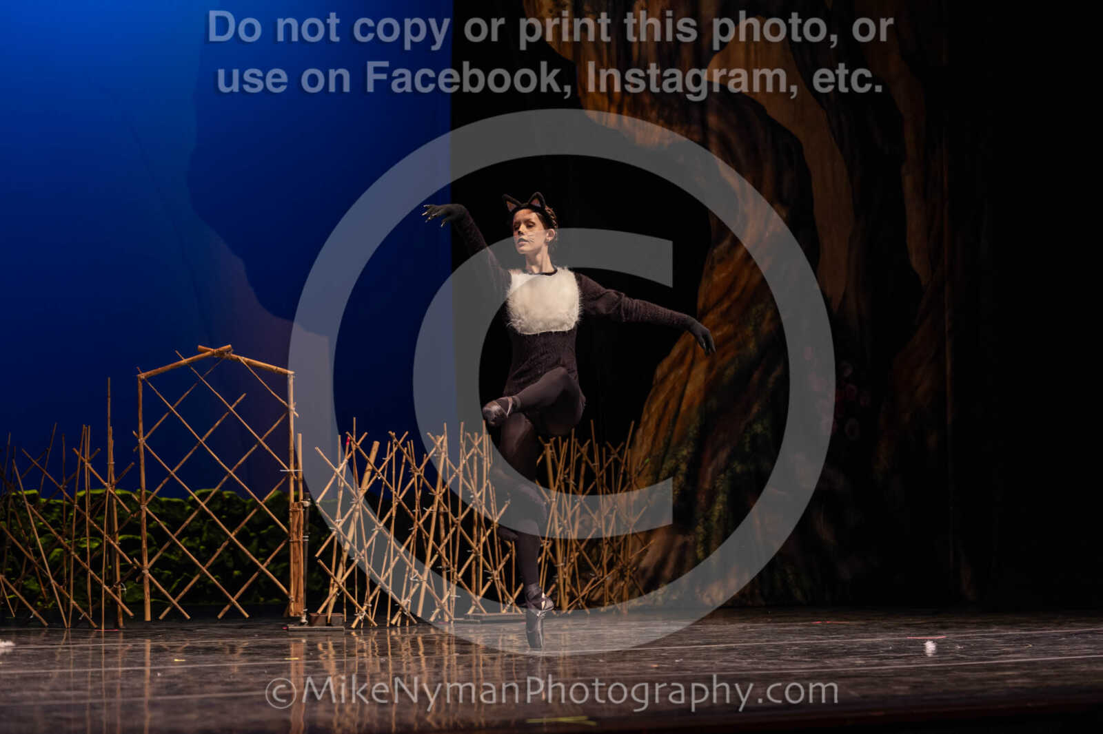 20260304151304-R3-639131