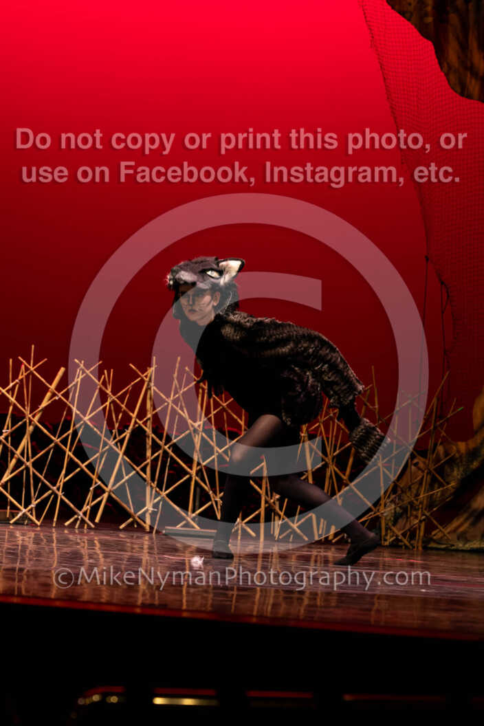 20260304151341-R62-100425