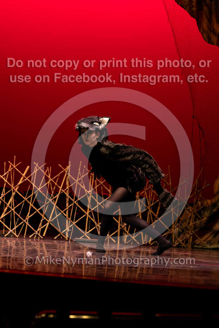 20260304151341-R62-100425