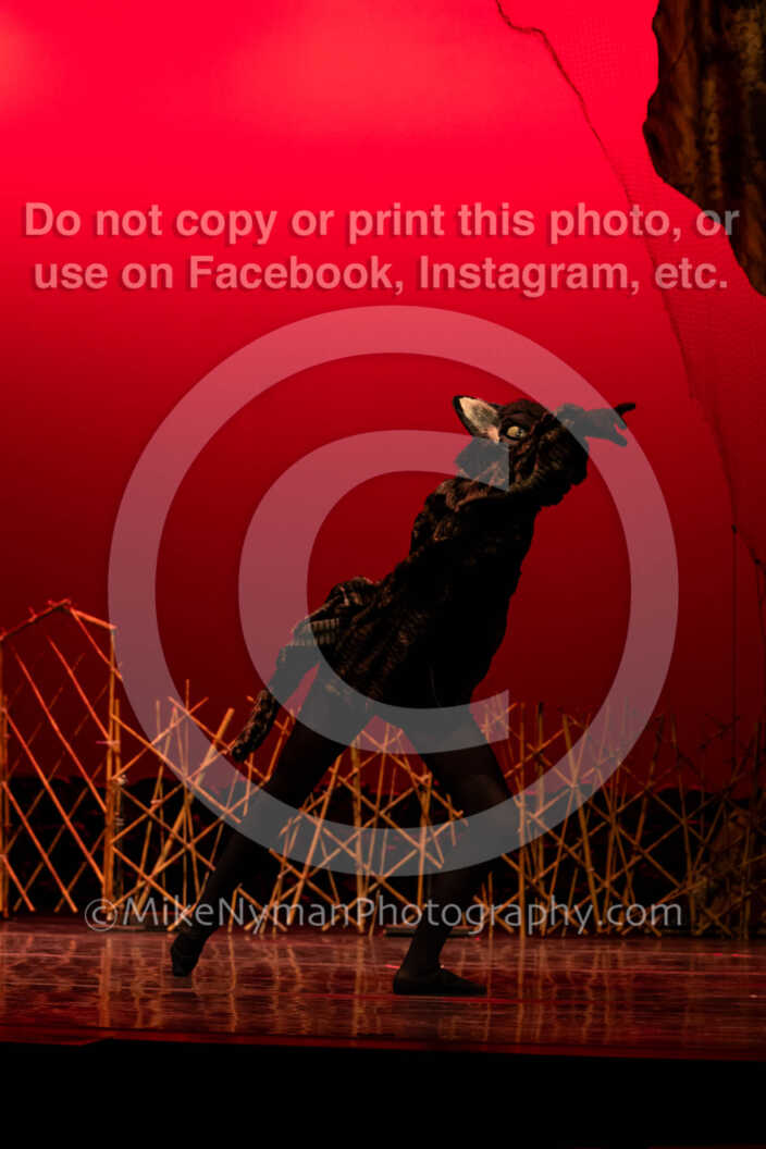 20260304151355-R62-100427