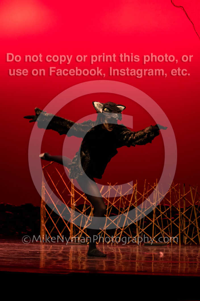 20260304151356-R62-100428