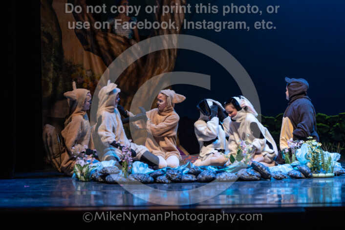 20260304151453-R3-639164