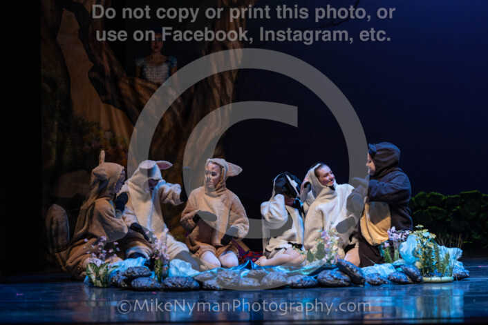 20260304151454-R3-639165