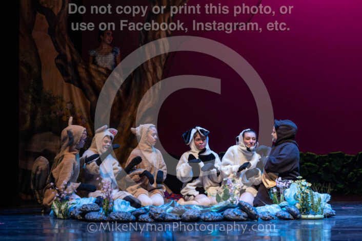 20260304151456-R3-639167