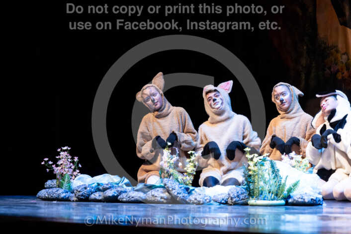 20260304151502-R62-100446