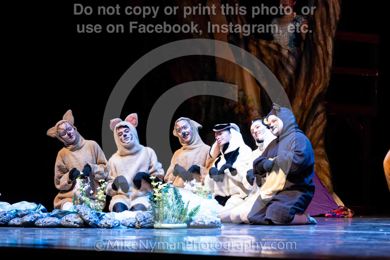 20260304151504-R62-100447