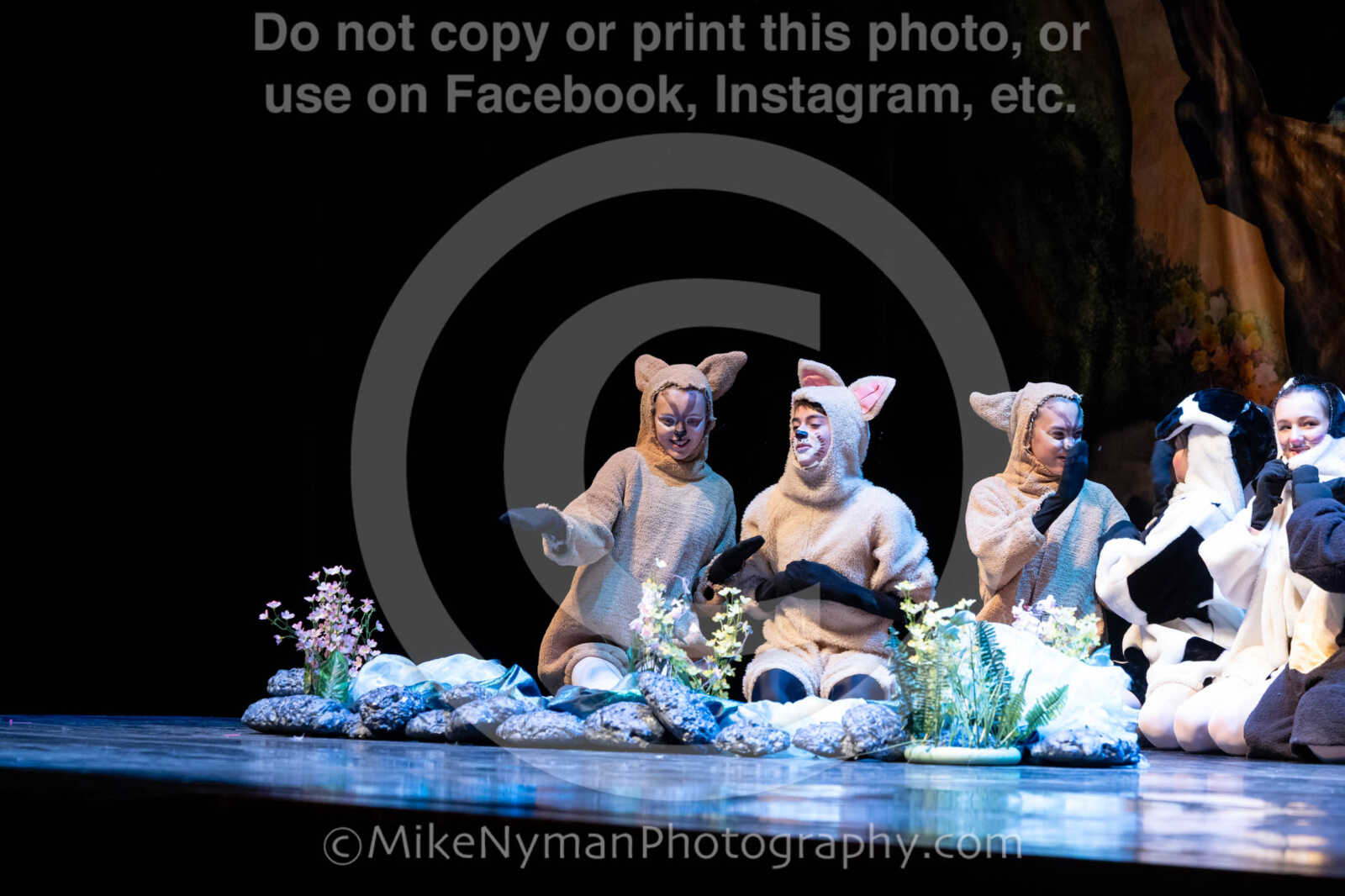 20260304151509-R62-100449