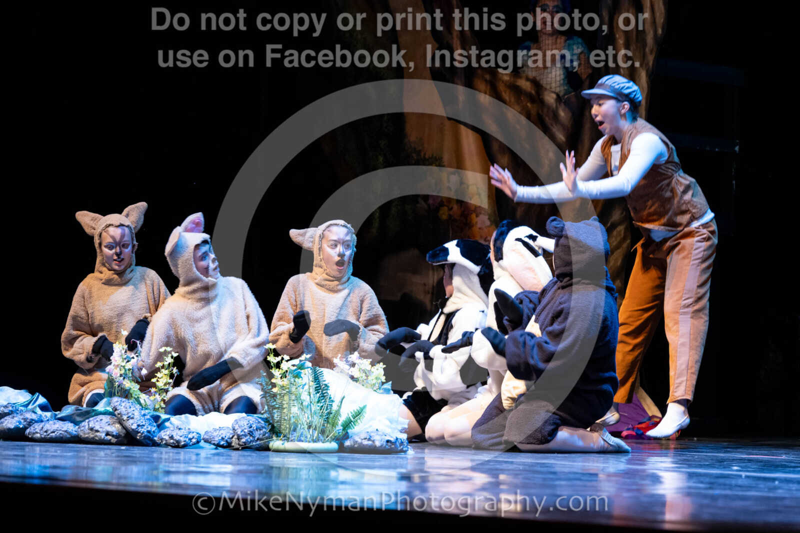 20260304151512-R62-100450