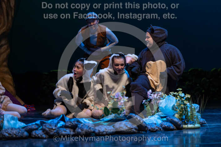 20260304151513-R3-639171