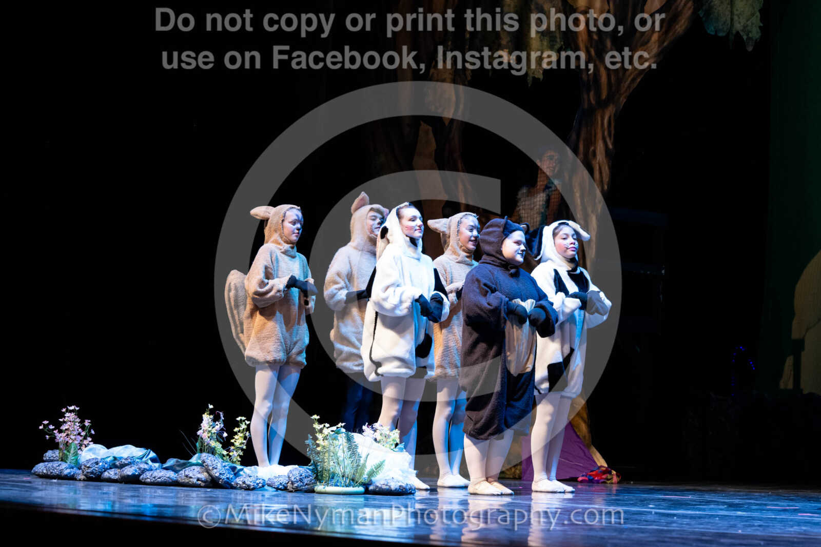 20260304151520-R62-100451