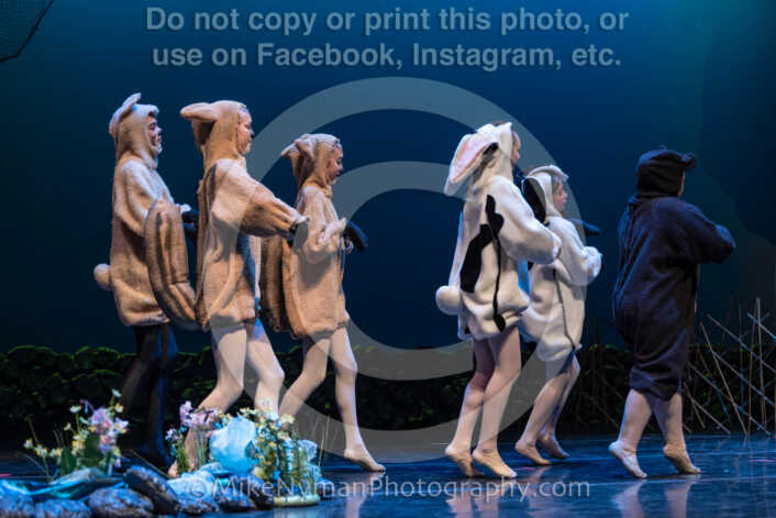 20260304151524-R3-639177