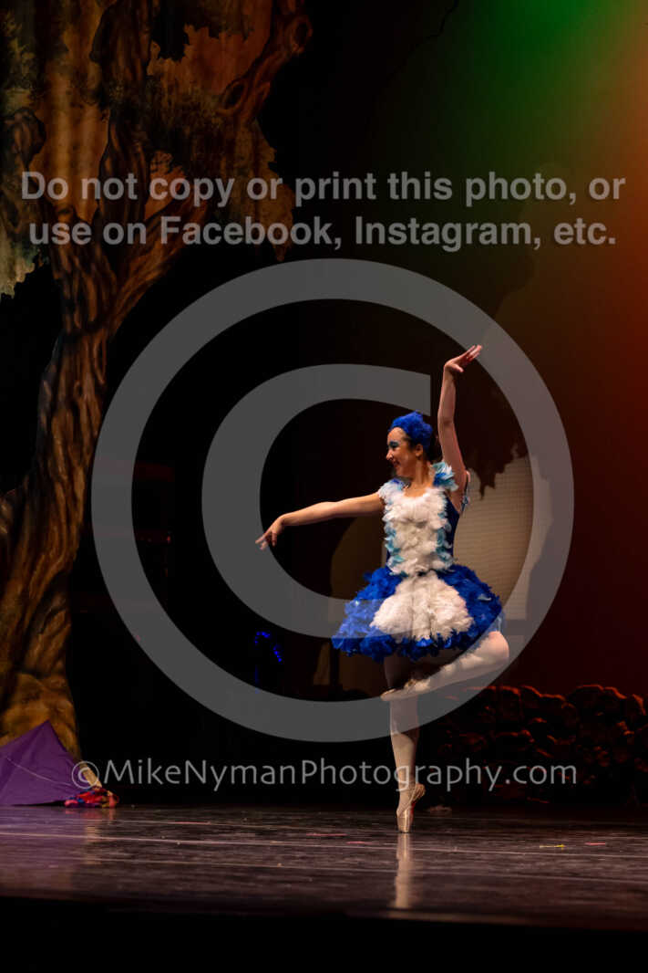 20260304151555-R62-100456