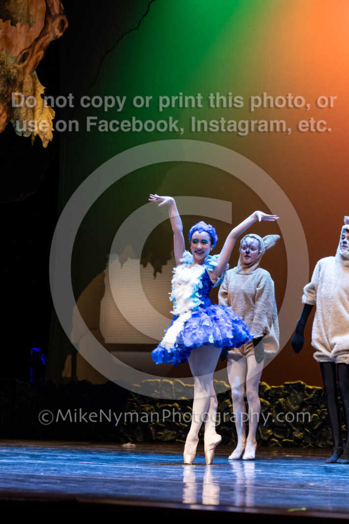 20260304151557-R62-100457