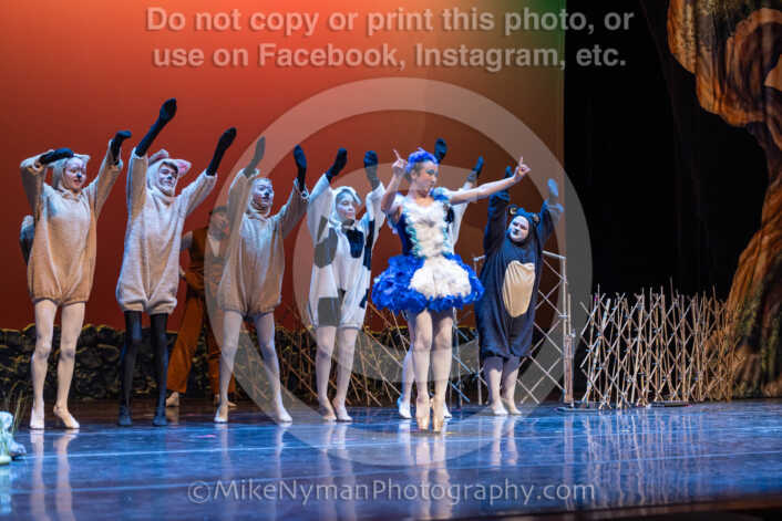 20260304151559-R3-639187