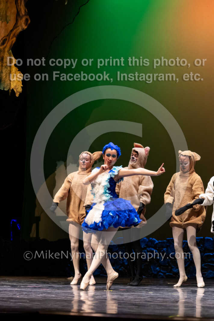 20260304151559-R62-100459