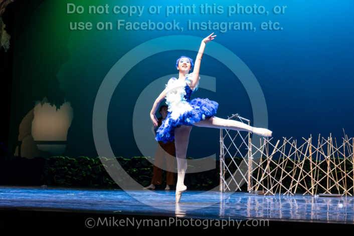 20260304151605-R62-100460