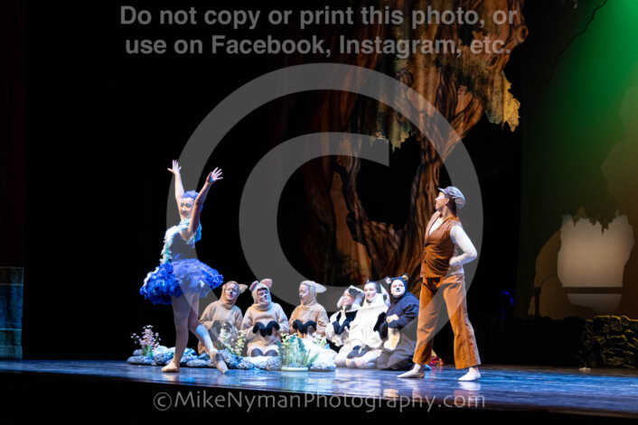 20260304151616-R62-100462