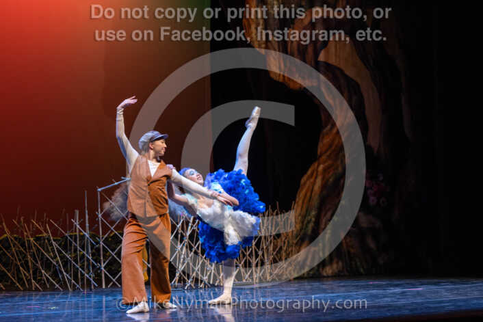 20260304151705-R3-639214