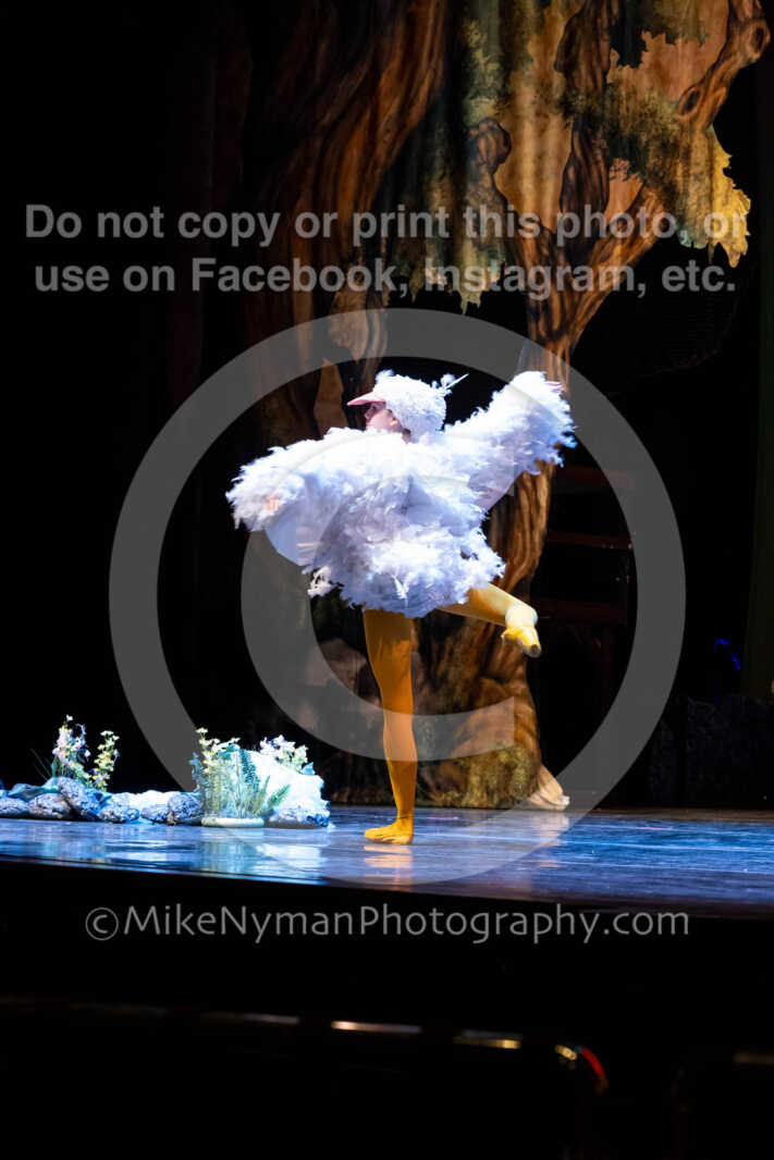 20260304151727-R62-100480